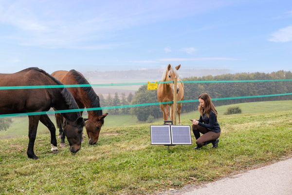 Using the AKO S4000 Smart Solar Electric Fence Energiser phone app on an equine farm
