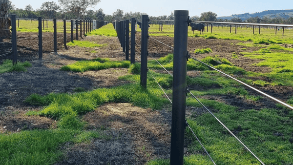 WoodShield Posts - 120cm - Large Round Post - Pre order