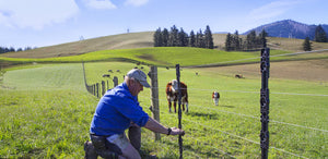 Which fence batten is best?