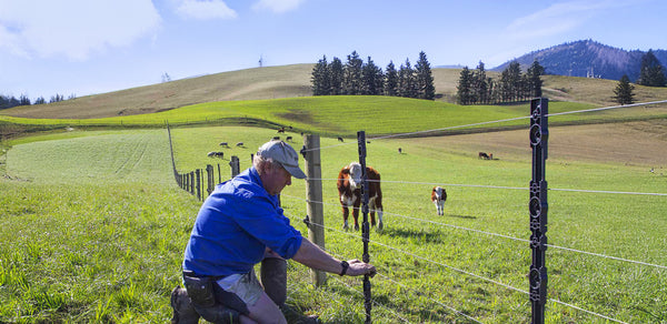 Which fence batten is best?
