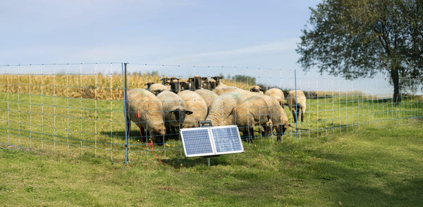 Solar powered electric fence energiser