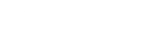 Styx Solutions NZ