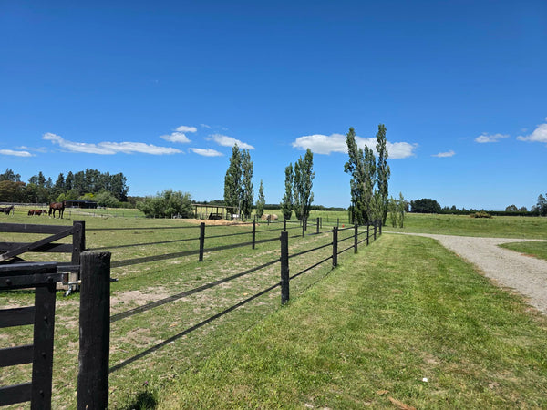 Styx SPHT40 Power Horse Tape - 40mm Kiwi Black, 200m