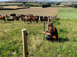 Award winning plastic battens being installed in a beef farm
