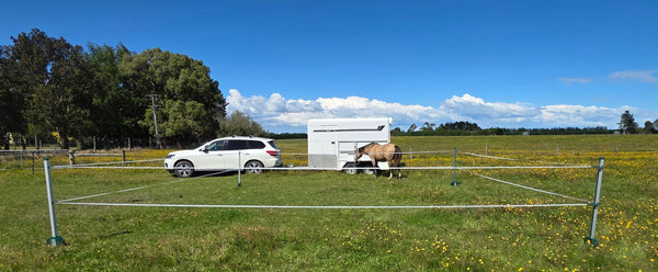 RoFlexs Premium 145 Set - Mobile Equine Yard- up to 56 square meter paddock