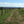 WoodShield Posts - 120cm - Large Round Post - Pre order