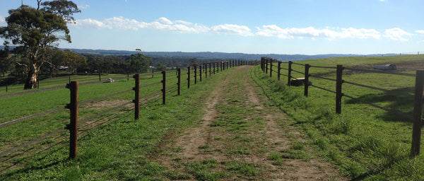 WoodShield Posts - 120cm - Large Round Post - Pre order